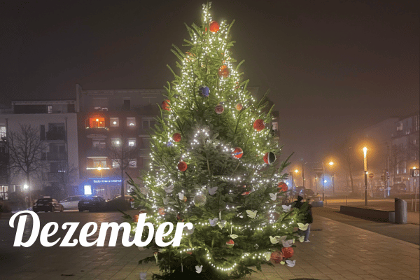 Weihnachtsbaum Rieselfeld