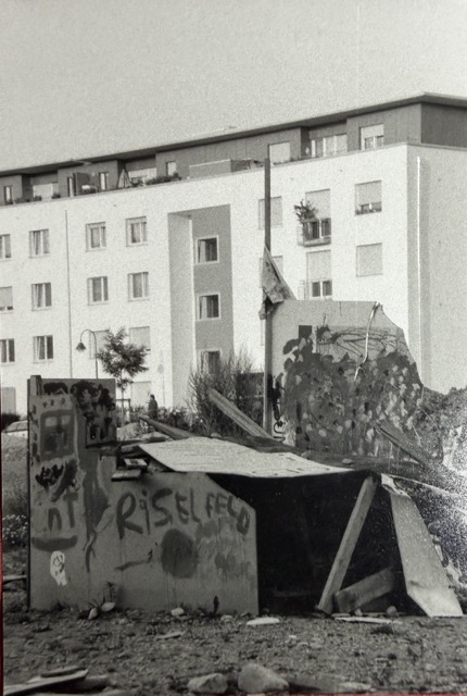 Mittel IMG 3305
