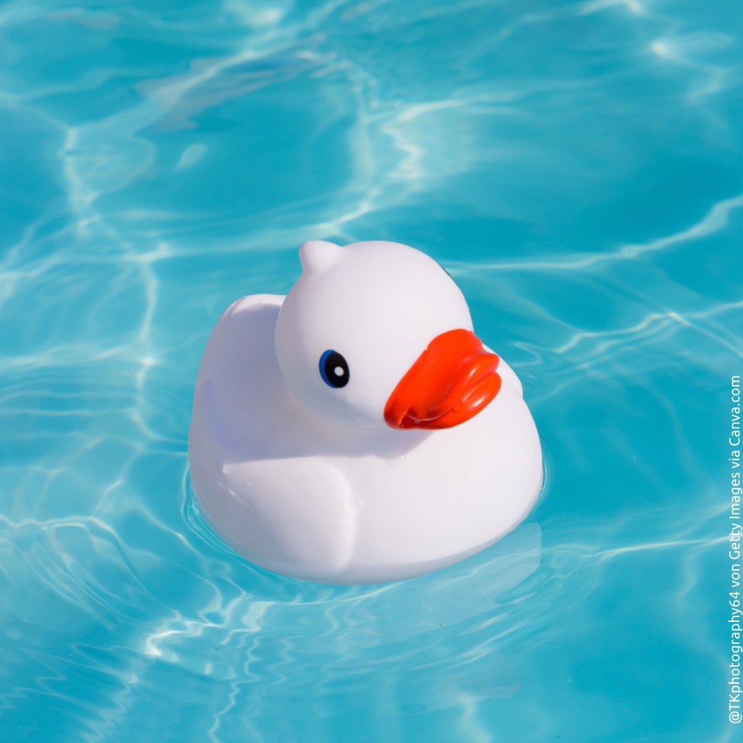 Ente im Pool