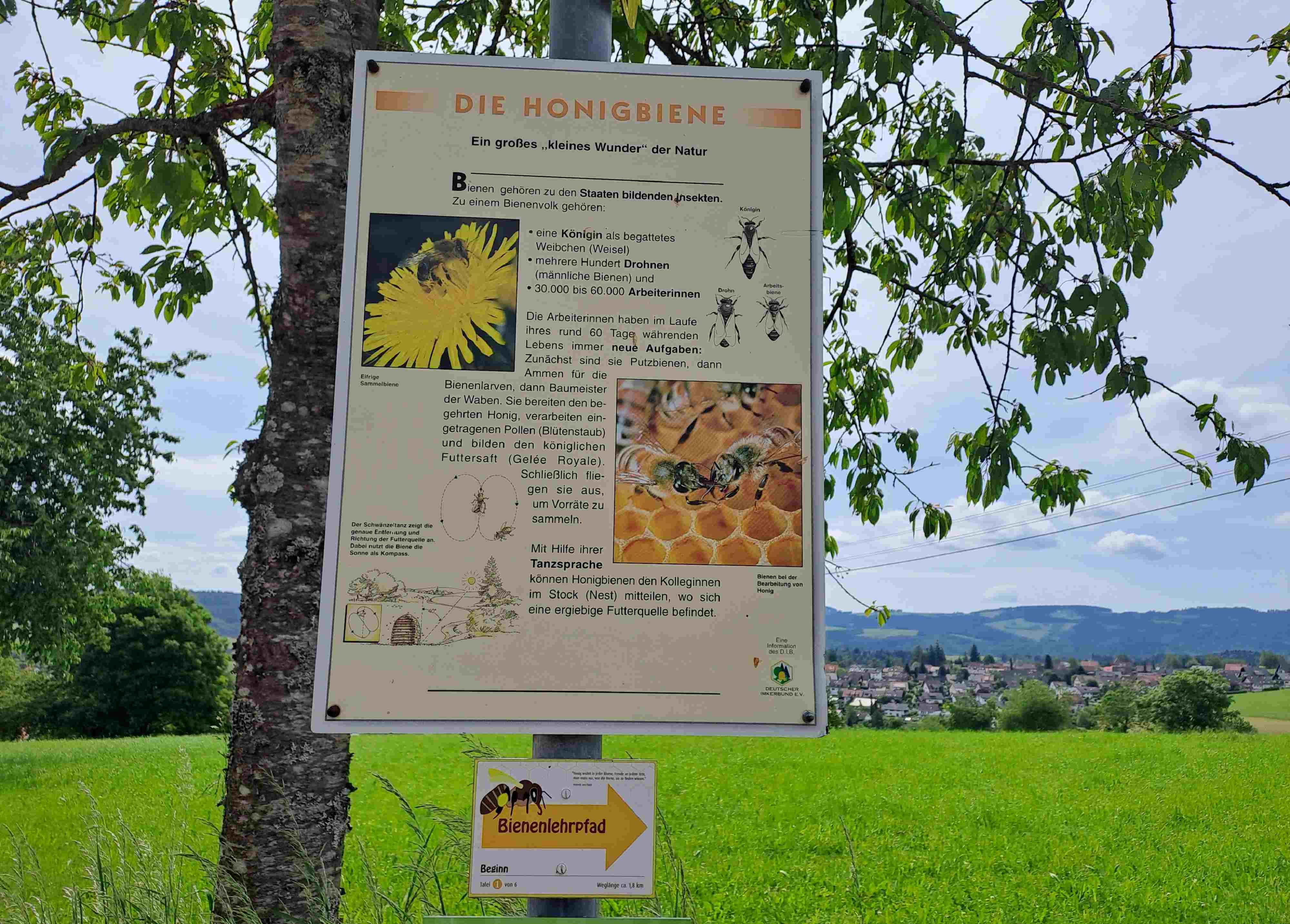 Familiengruppe Wanderung Bienenpfad 2