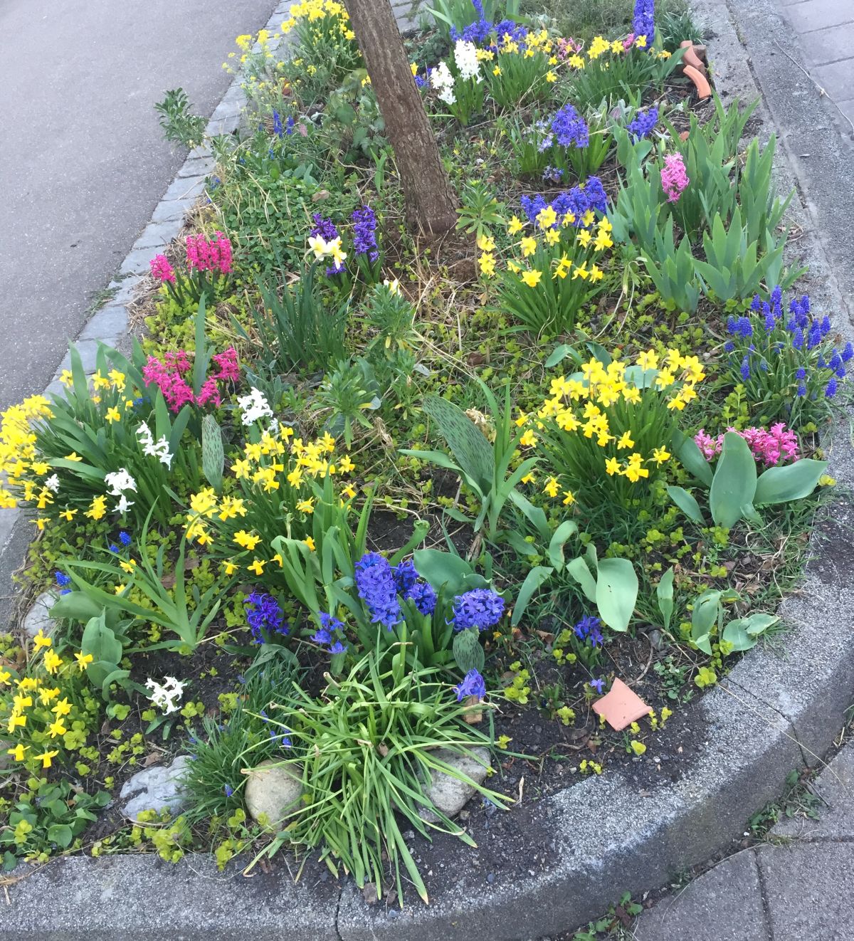 Baumscheibe Rieselfeld BIZ 1200