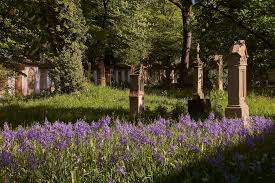 Alter Friedhof