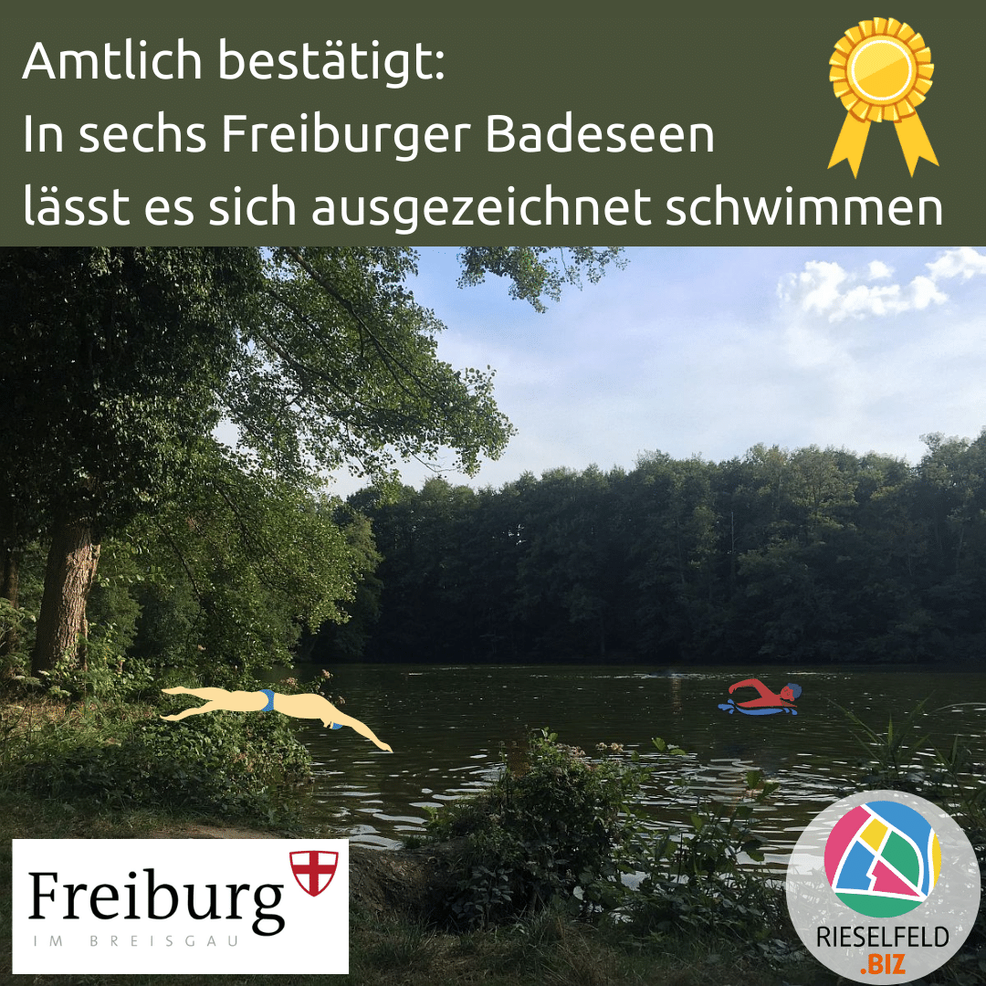 Amtlich bestätigt:  In sechs Freiburger Badeseen lässt es sich ausgezeichnet schwimmen