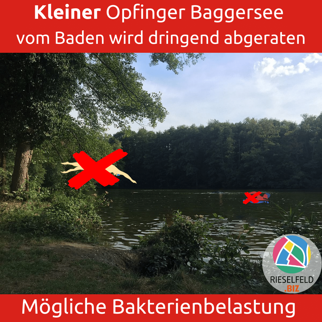 Mögliche Bakterienbelastung im kleinen Opfinger Baggersee: vom Baden wird dringend abgeraten