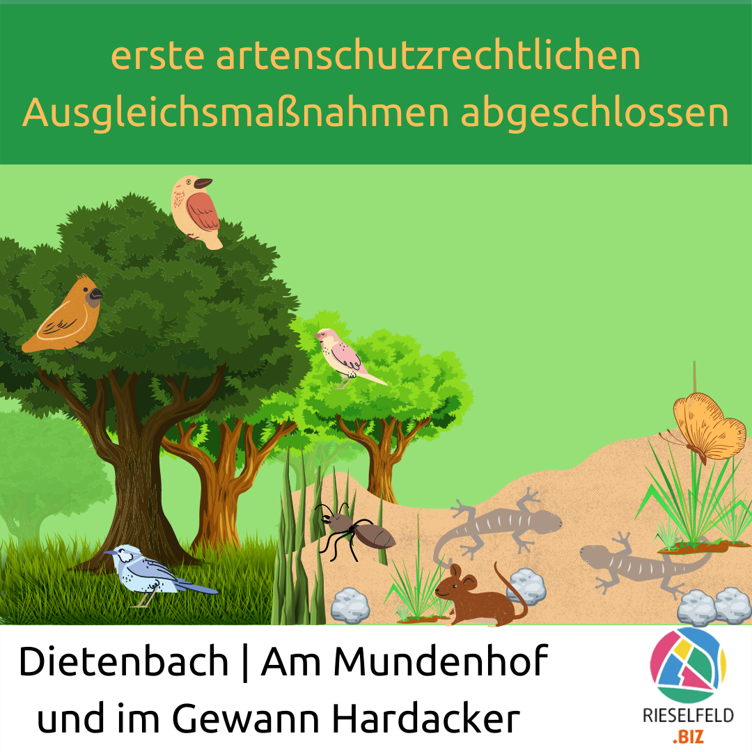 Artenschutz Ausgleichsmaßnahmen für neuen Stadtteil Dietenbach