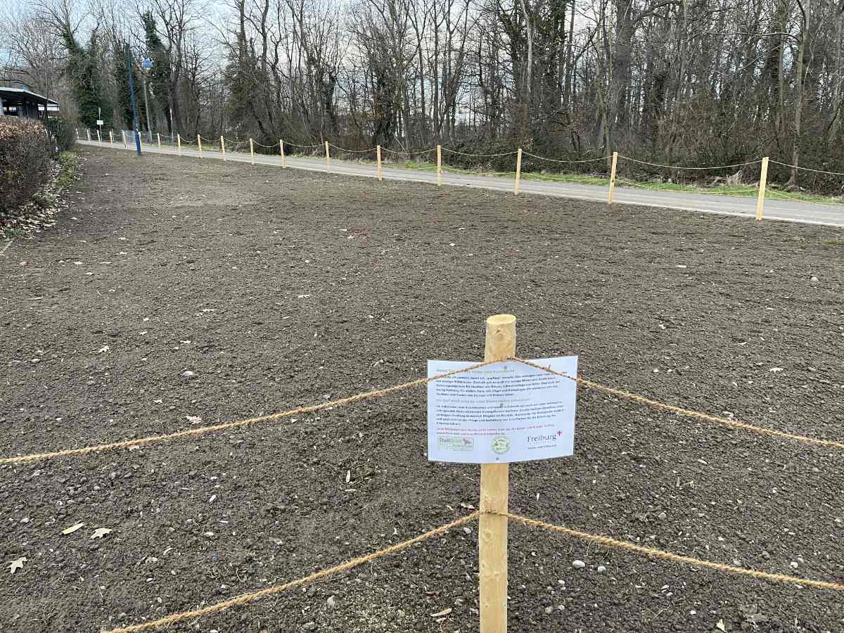 neue blumenwiese rieselfeld mundenhofweg web