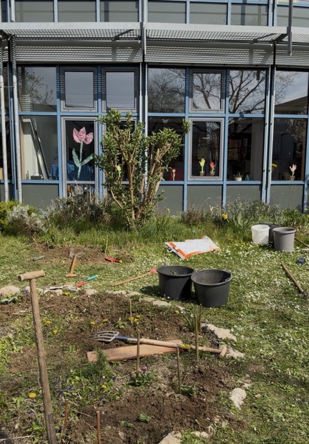 Pfanzaktion vor der Clara-Grunwald-Schule