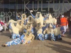 Fasnet Rieselfeld 2020 Schneesturn Biester Copyright Gabi Obi