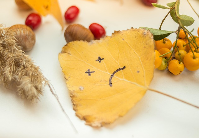 Herbstblatt