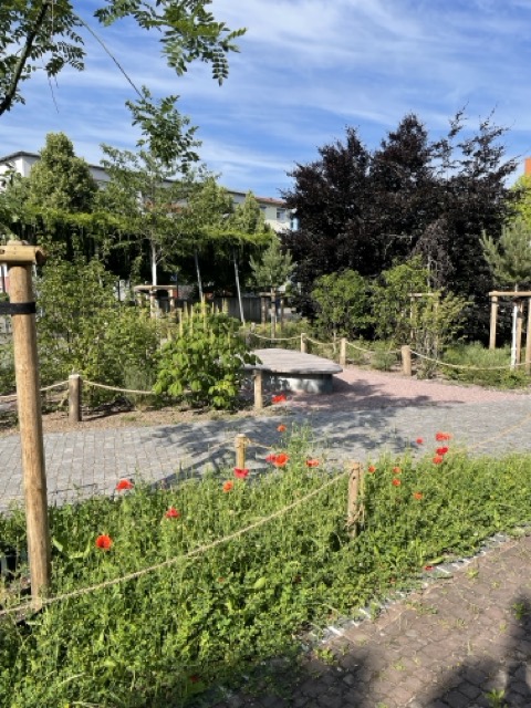 2025 06 Mathilde Otto Platz IMG 9330 Rieselfeld