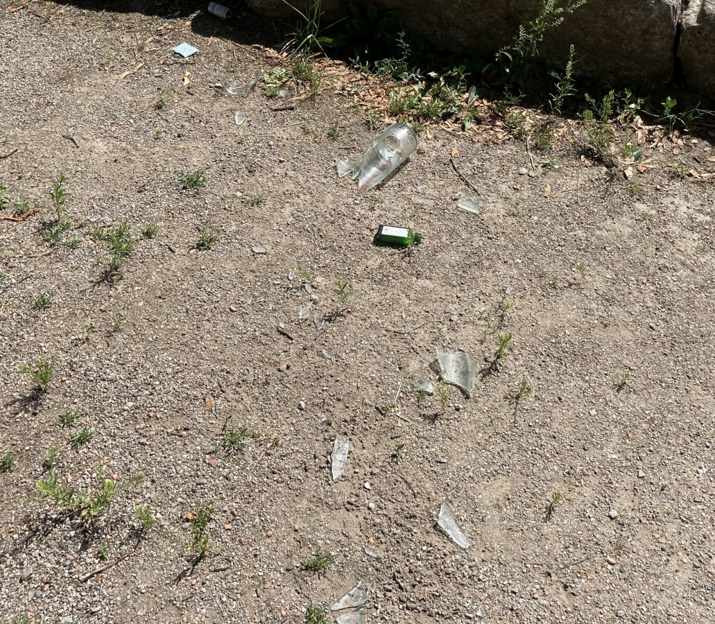 Müll nach Party Rieselfeld6