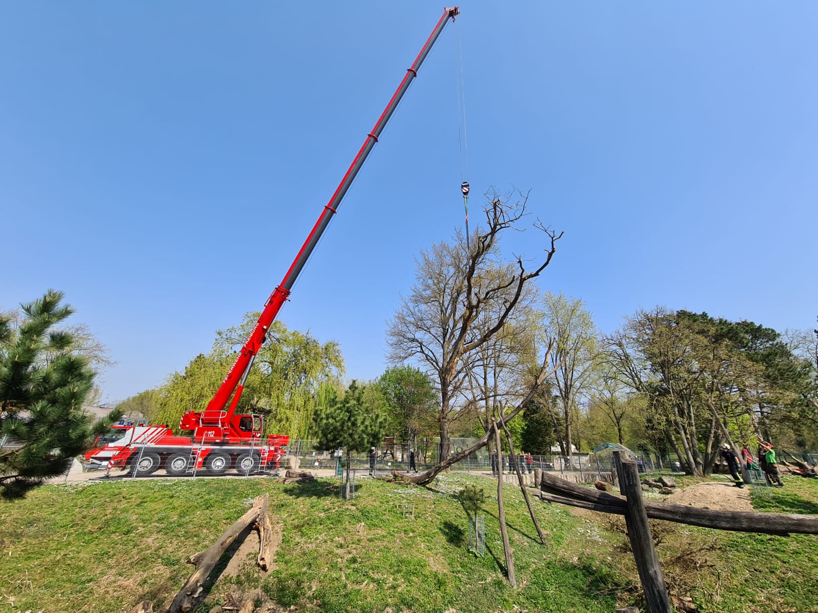 Mundenhof Javaneraffen Kletterbaum Foto Theo Neuhofer