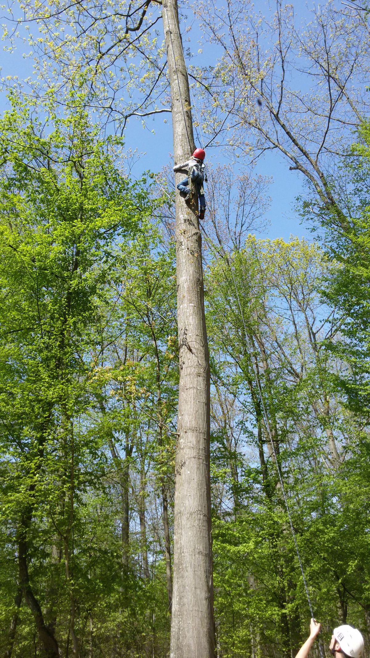 waldseilgarten stockbrot