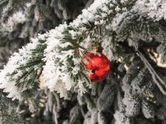 verzuckertes winterliches Rieselfeld 6 640