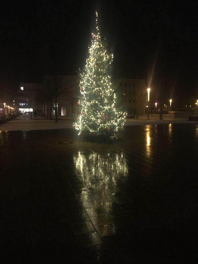 Weihnachtsbaum Riesefeld 640