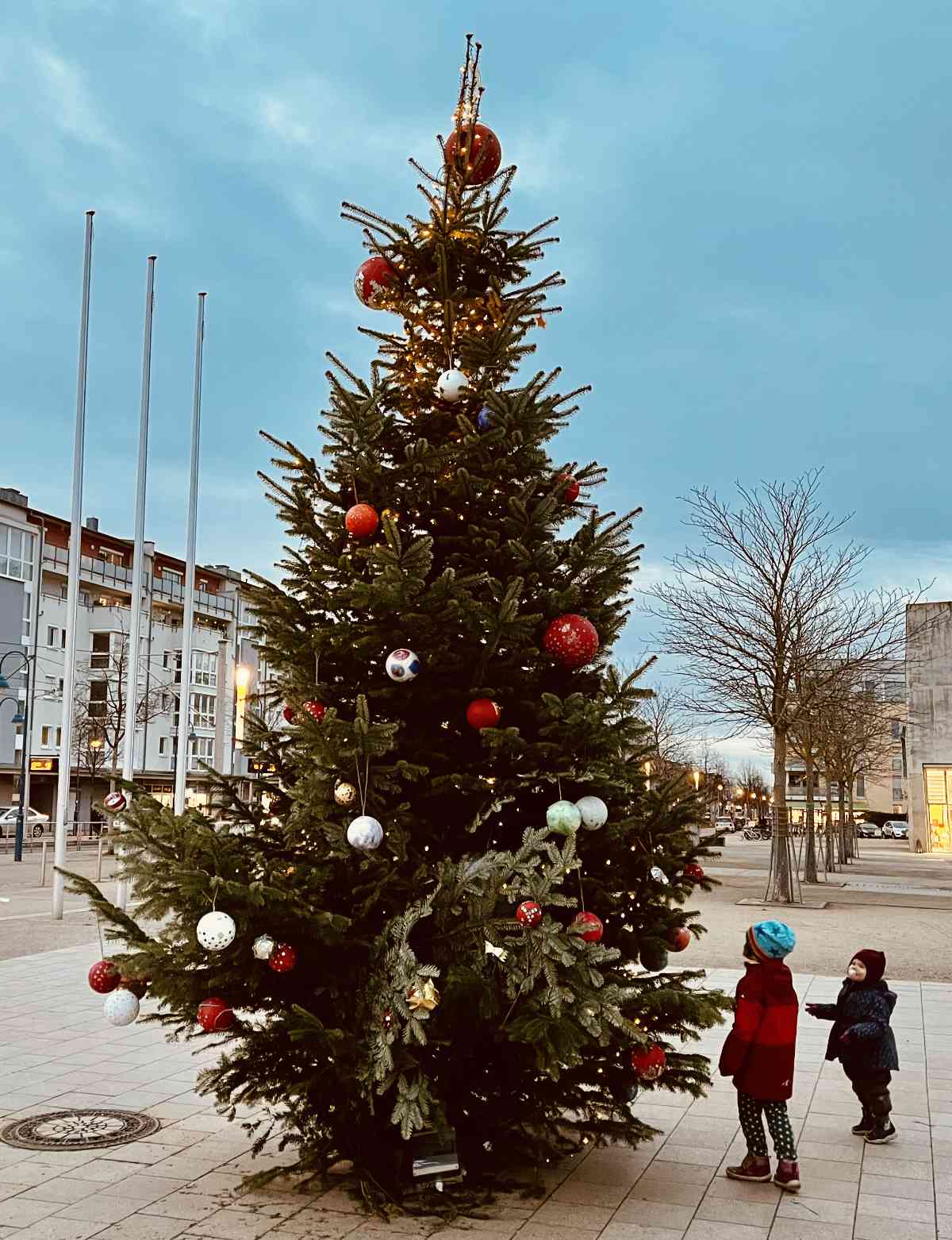 Rieselfelder Weihnachtsbaum auf dem Maria-von-Rudloff-Platz