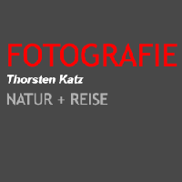 Thorsten Katz