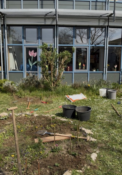 Pfanzaktion vor der Clara-Grunwald-Schule