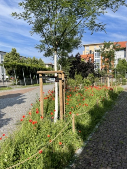 Mathilde-Otto-Platz