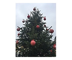 Weihnachtsbaumstellen 2016_32